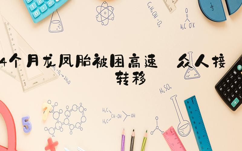 4个月龙凤胎被困高速 众人接力转移